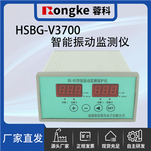 HSBG-V3700振动检测表