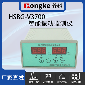 HSBG-V3700振动检测表