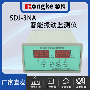 SDJ-3NA振动检测表