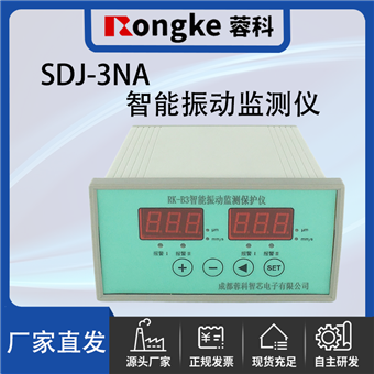 SDJ-3NA振动检测表