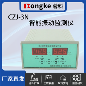 CZJ-3N/RK振动检测表