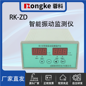 RK-ZD振动检测表